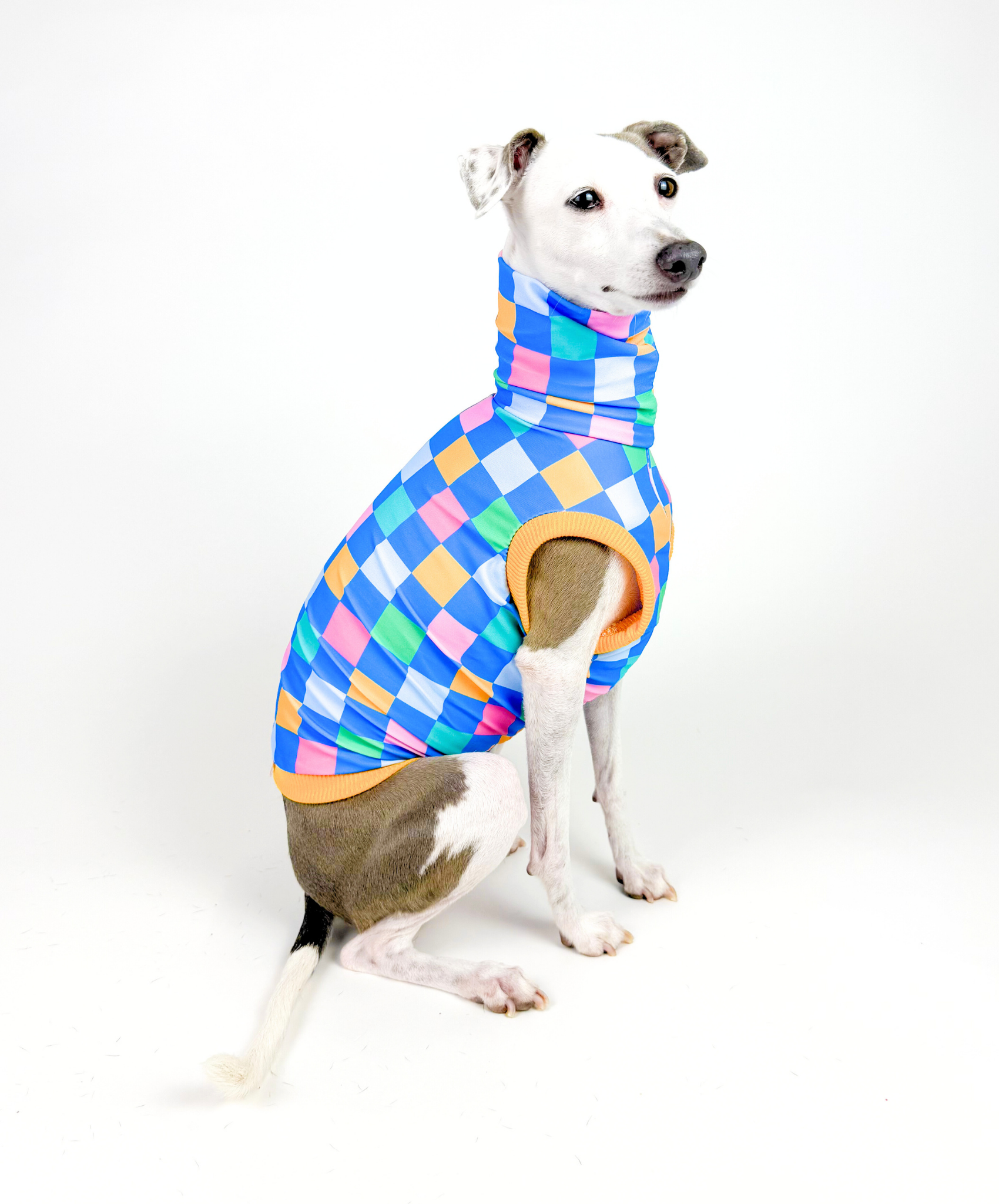 Bossy Blocks – UPF50+ Sun Crop