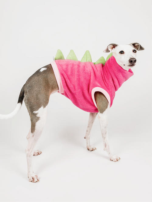Bossy Customised – Build a Dinosaur