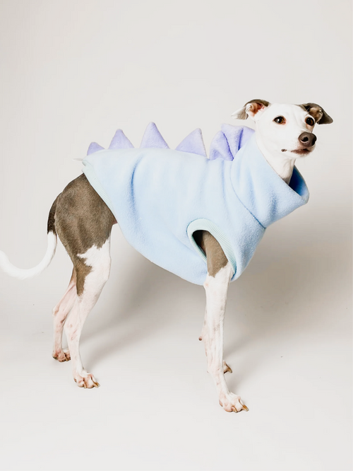 Bossy Customised – Build a Dinosaur