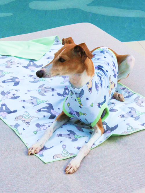 Bossy’s Beach Towel
