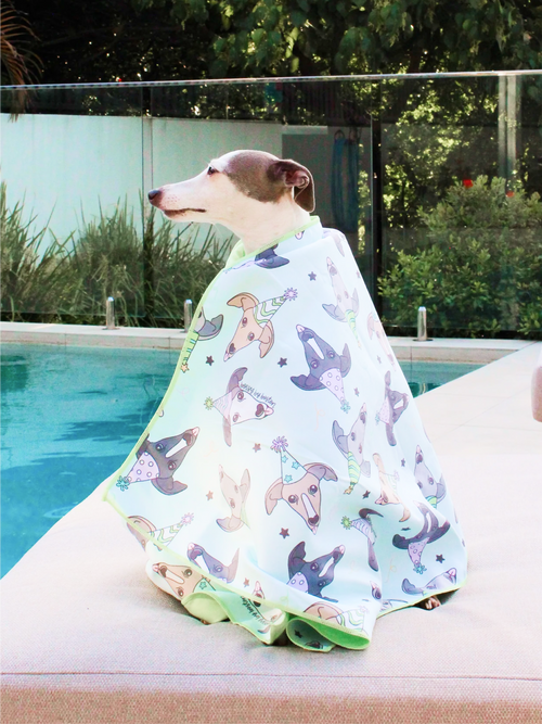 Bossy’s Beach Towel