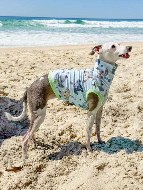 Bossy's Party Hounds – UPF50+ Sun Crop