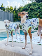 Bossy's Party Hounds – UPF50+ Sun Crop
