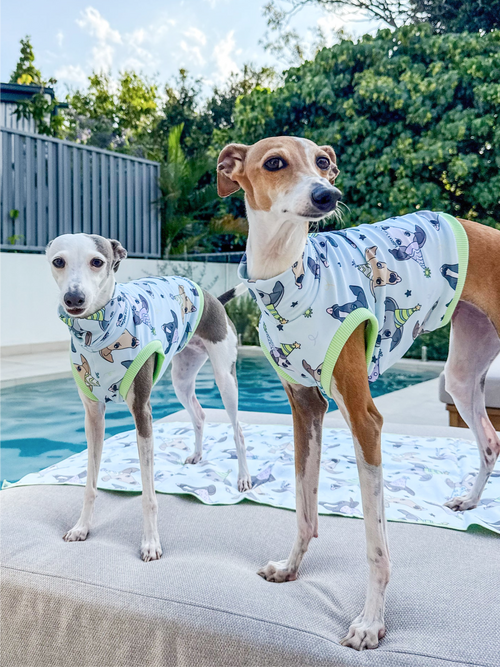 Bossy's Party Hounds – UPF50+ Sun Crop
