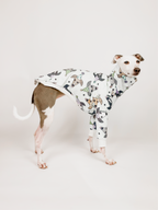 Bossy’s Party Hounds – Half Suit