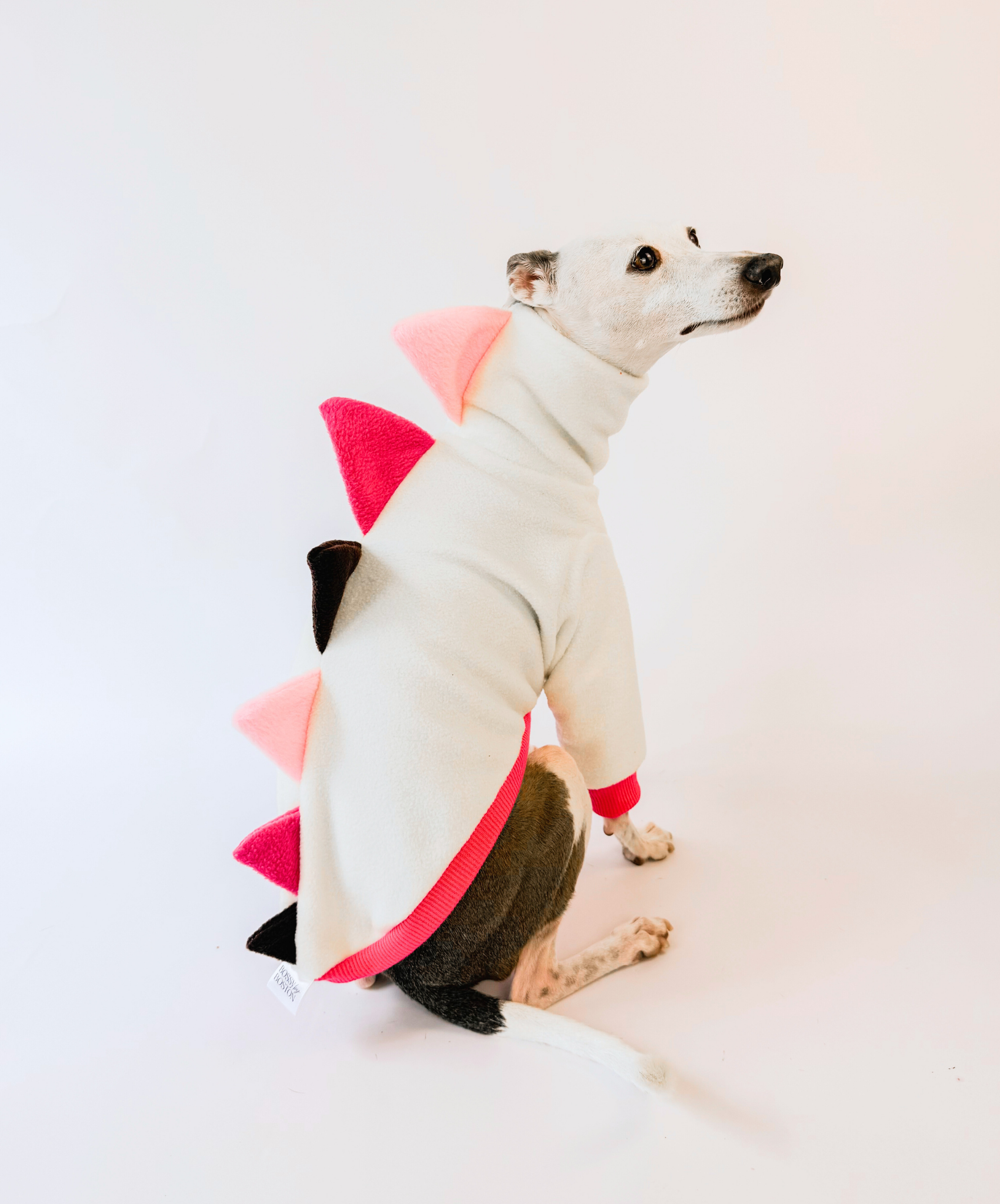 Boston's Birthday Dino – Half Suit