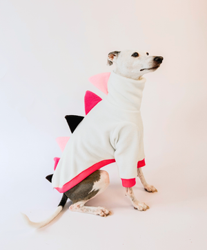 Boston's Birthday Dino – Half Suit