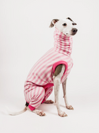 Boston Bun PJS – Sleeveless Full Suit