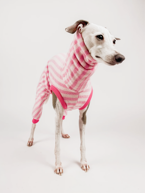 Boston Bun PJS – Sleeveless Full Suit
