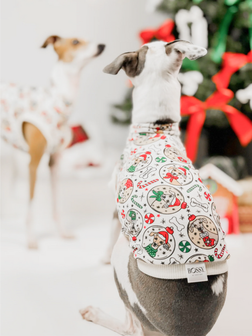 Boston's Christmas Sweater – Sleeveless Crop