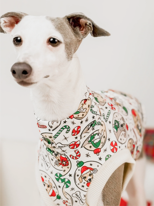 Boston's Christmas Sweater – Sleeveless Crop
