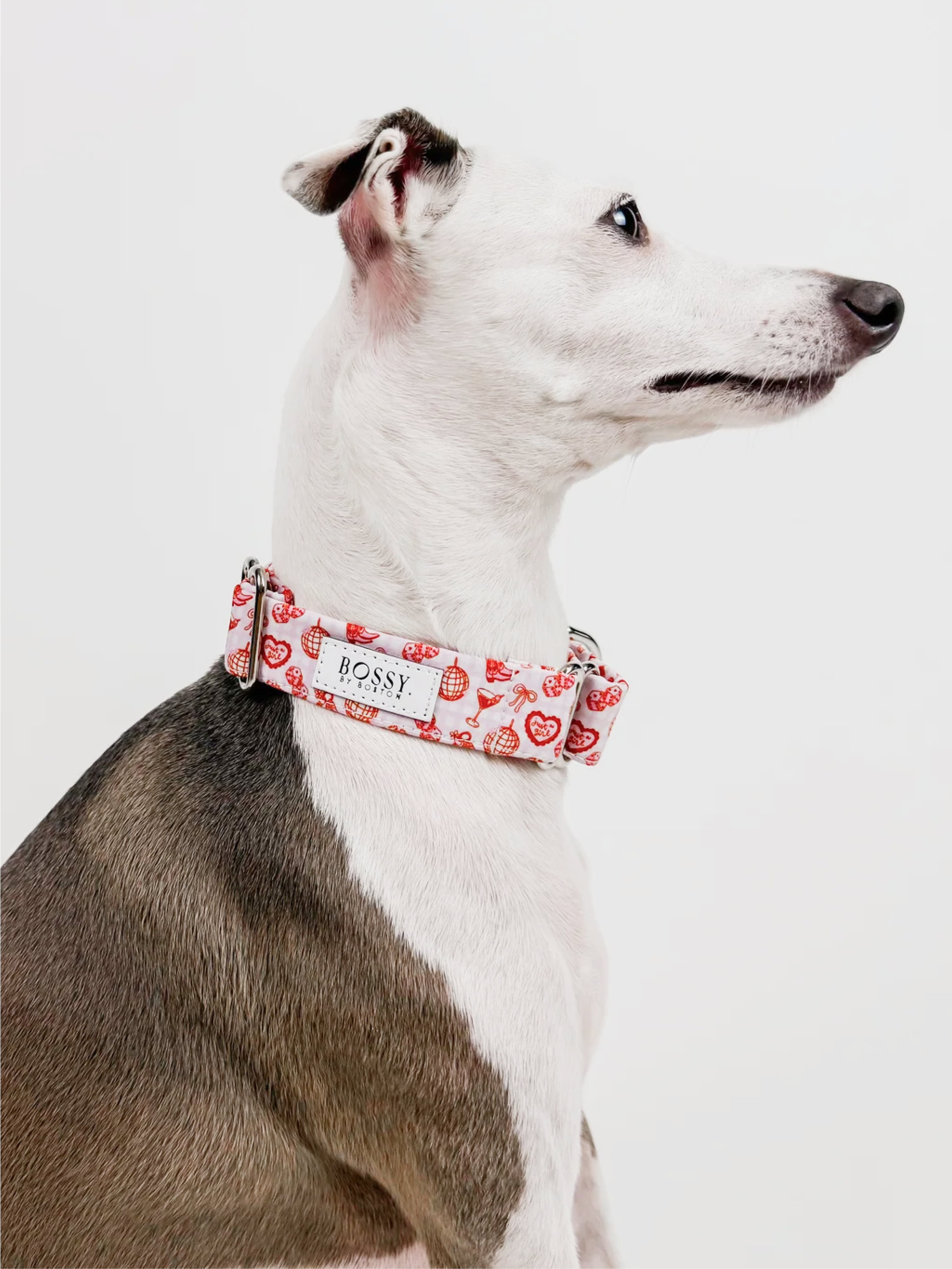 Boston's World – Martingale Dog Collar