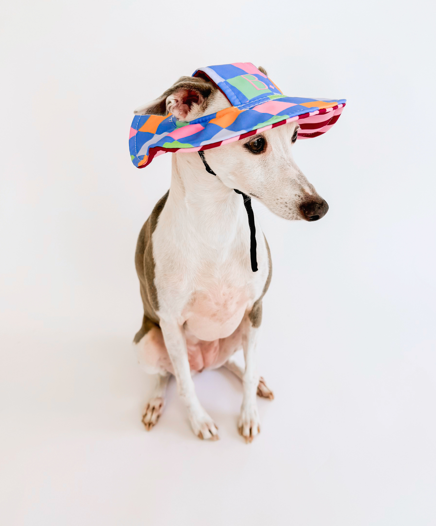The Bossy Bucket – Reversible Dog Hat