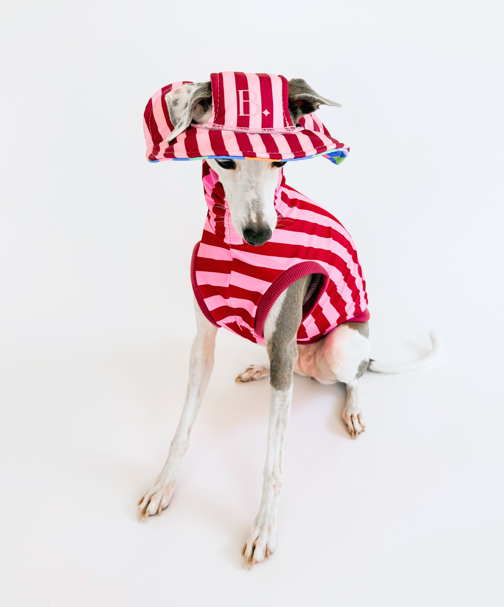 The Bossy Bucket – Reversible Dog Hat
