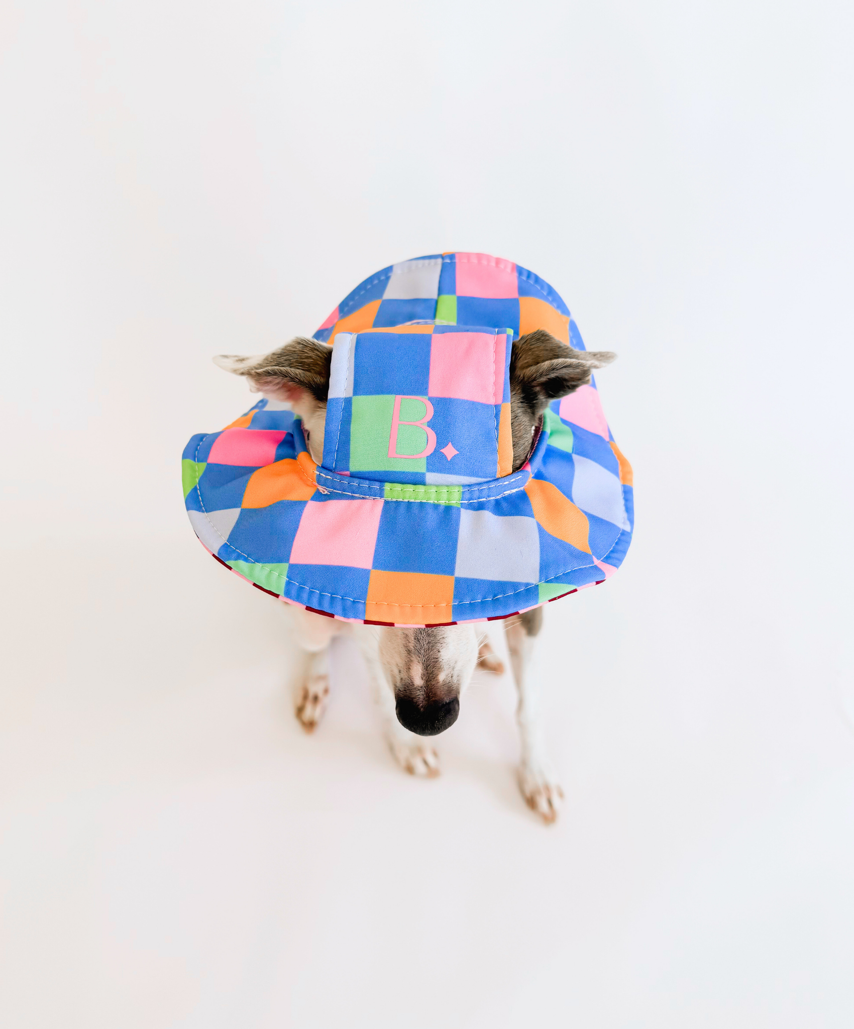 The Bossy Bucket – Reversible Dog Hat