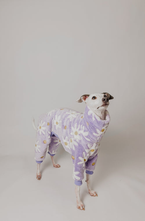 Benoit Florals - Full Suit