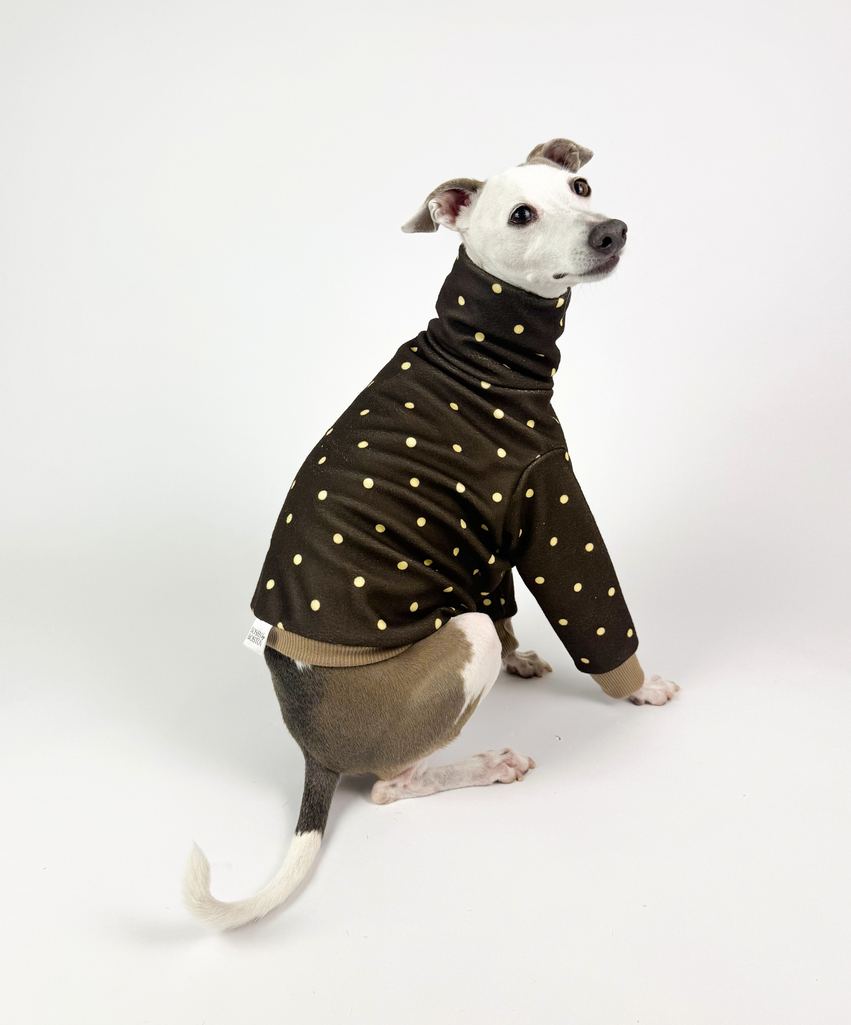 Cocoa Dot – Cropped Half Suit