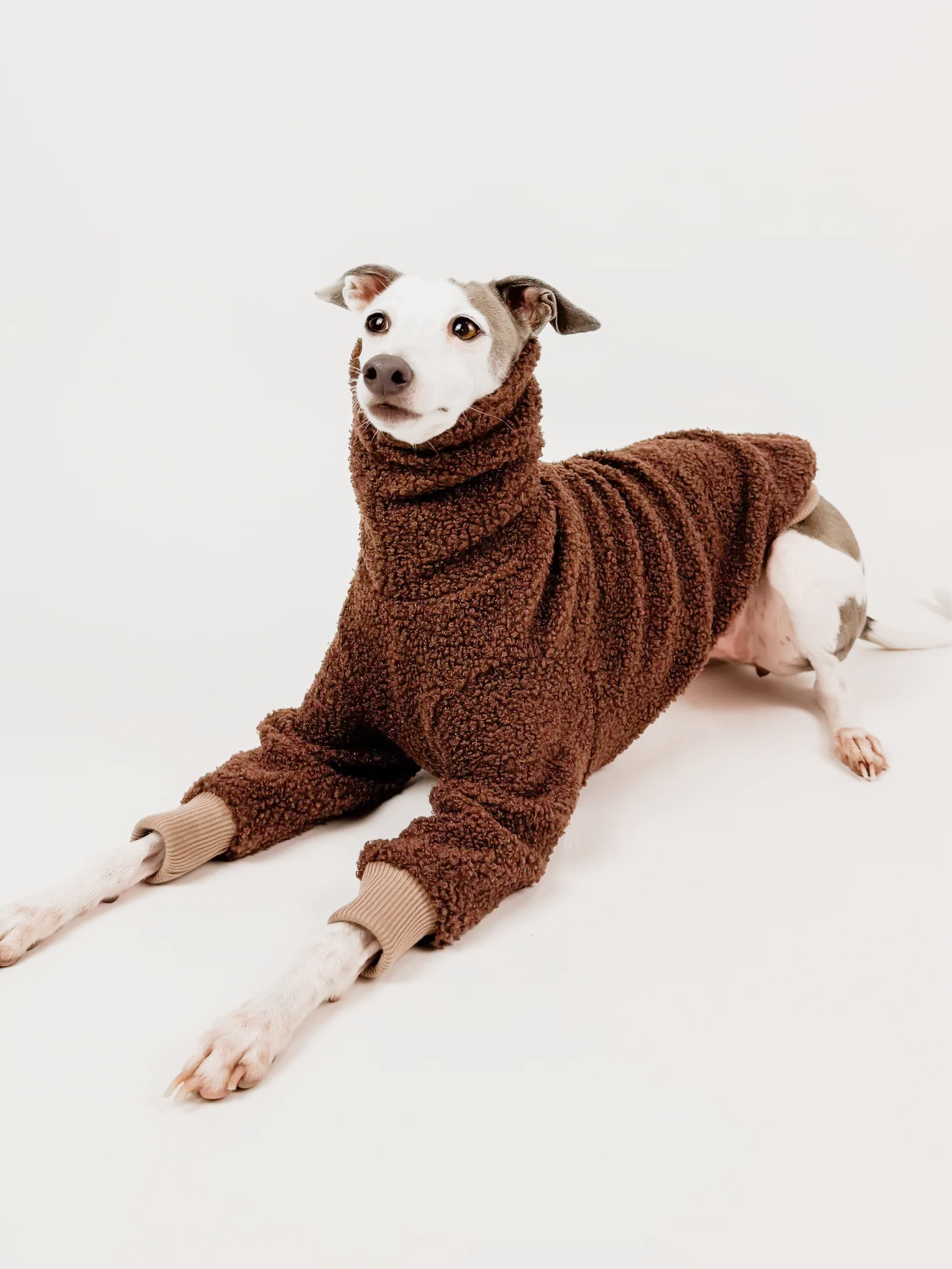 Cappuccino Teddy – Half Suit