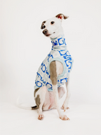Coastal Cutie – Blue UPF50+ Sun Crop