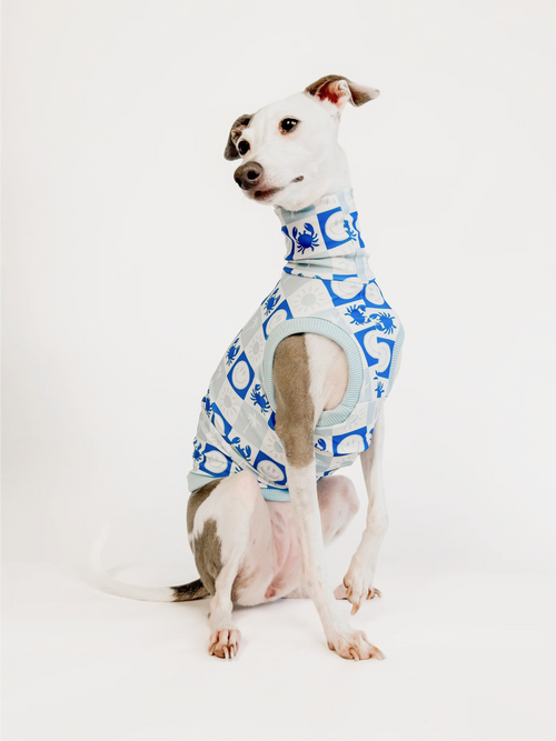 Coastal Cutie – Blue UPF50+ Sun Crop