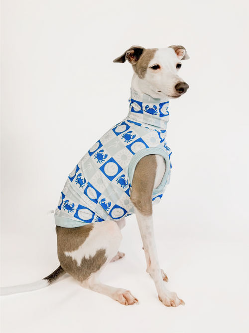 Coastal Cutie – Blue UPF50+ Sun Crop
