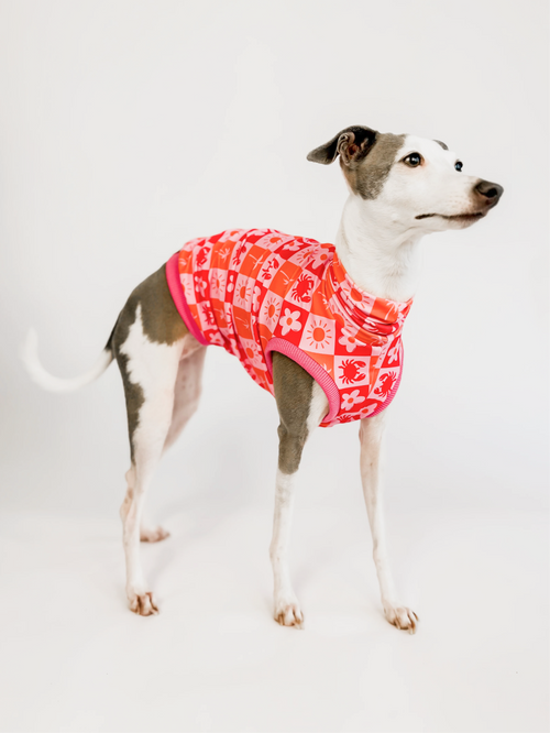 Coastal Cutie – Pink UPF50+ Sun Crop