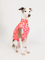 Coastal Cutie – Pink UPF50+ Sun Crop