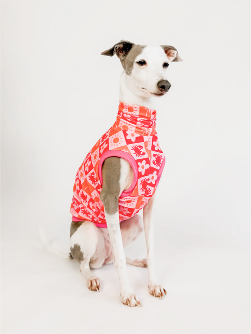 Coastal Cutie – Pink UPF50+ Sun Crop