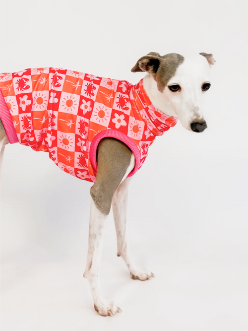 Coastal Cutie – Pink UPF50+ Sun Crop