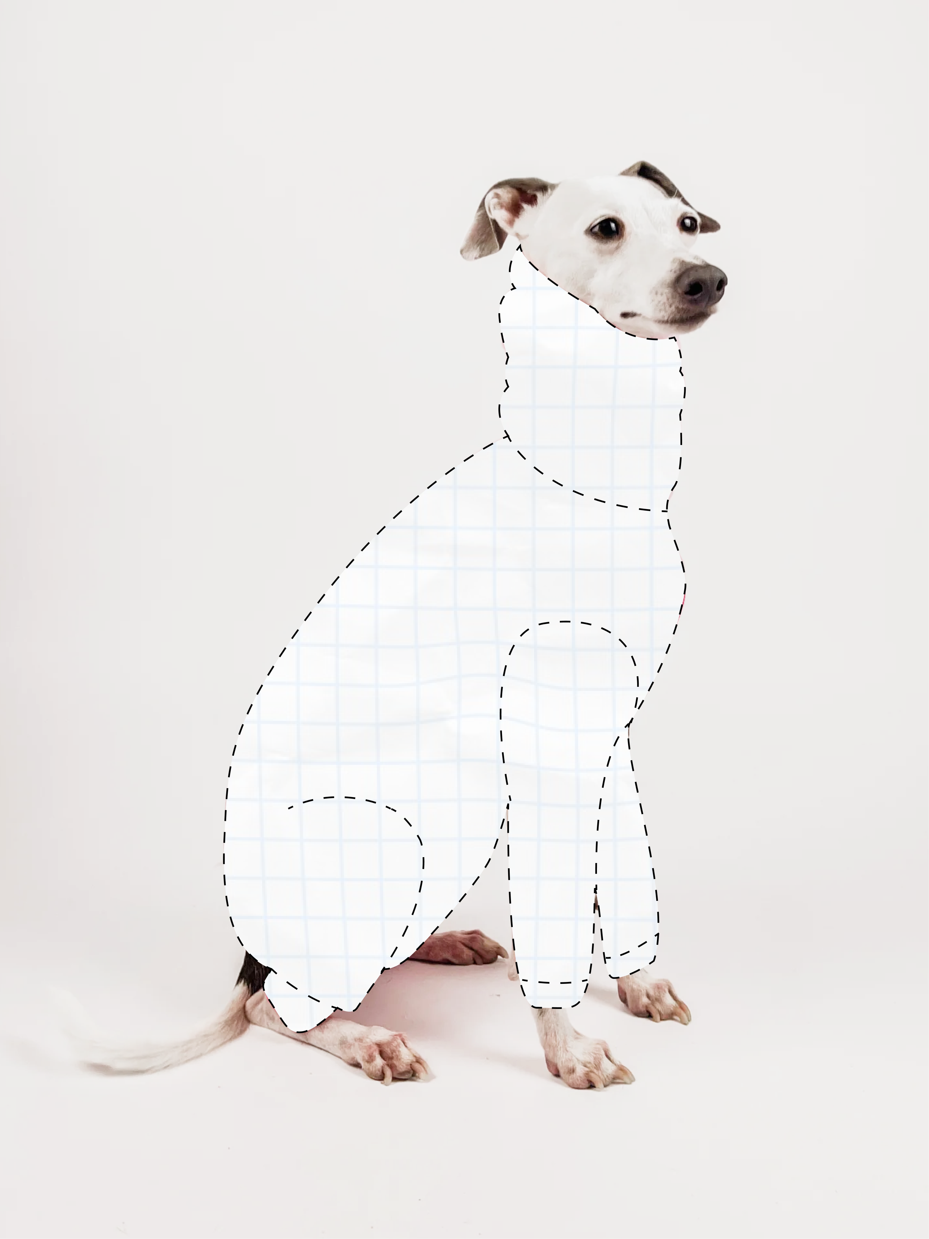 Bossy Customised – Tailored Fit