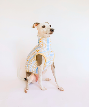 Daisy Lane – Sleeveless Crop