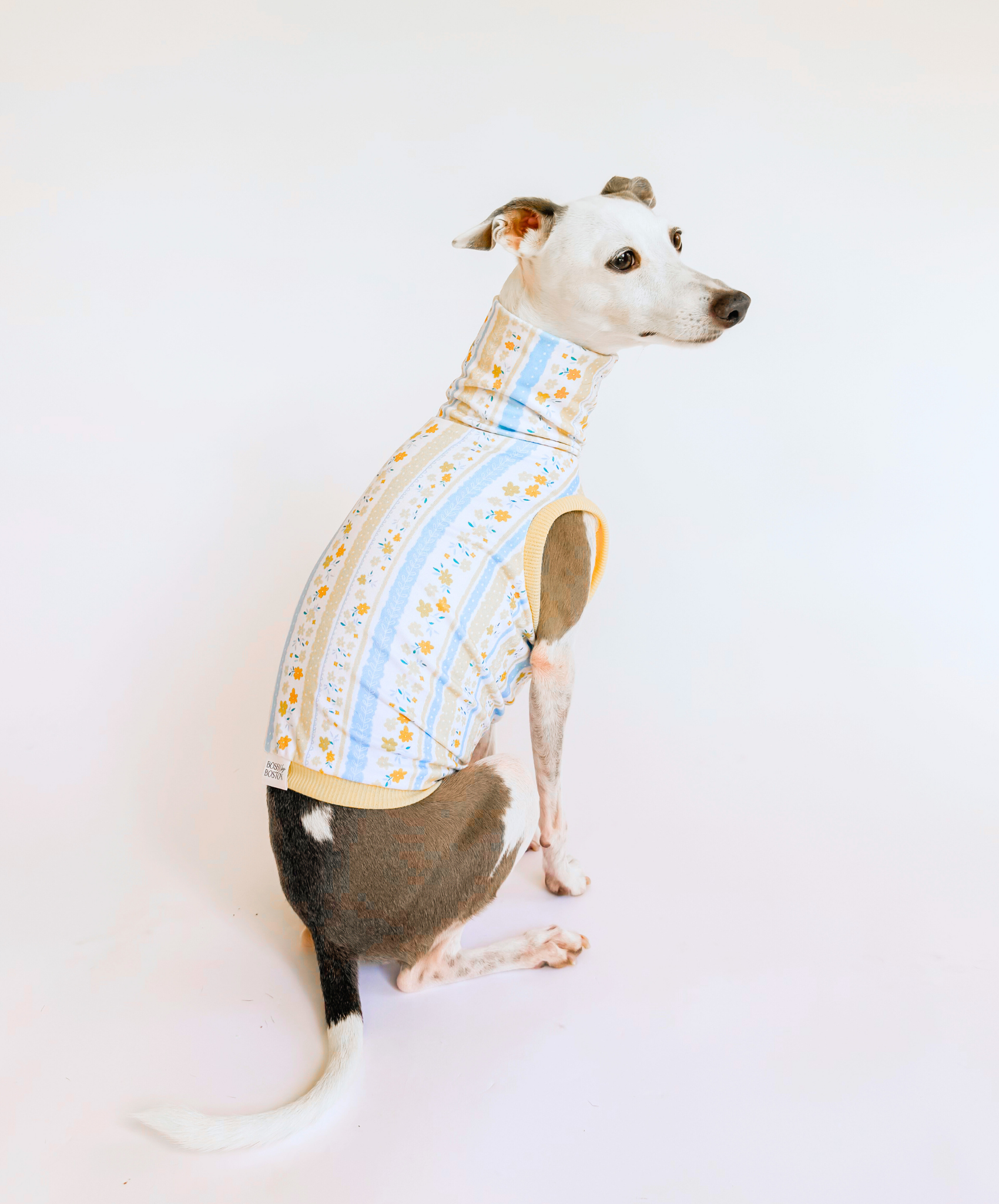 Daisy Lane – Sleeveless Crop