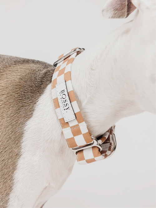 Desert – Martingale Dog Collar