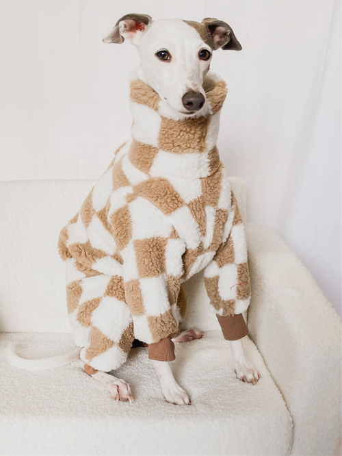 Desert Zipper Sweater - Full Suit