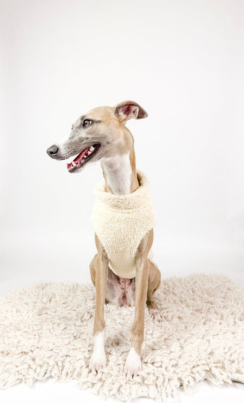 Hugs n Teddies - Zipper Sweater