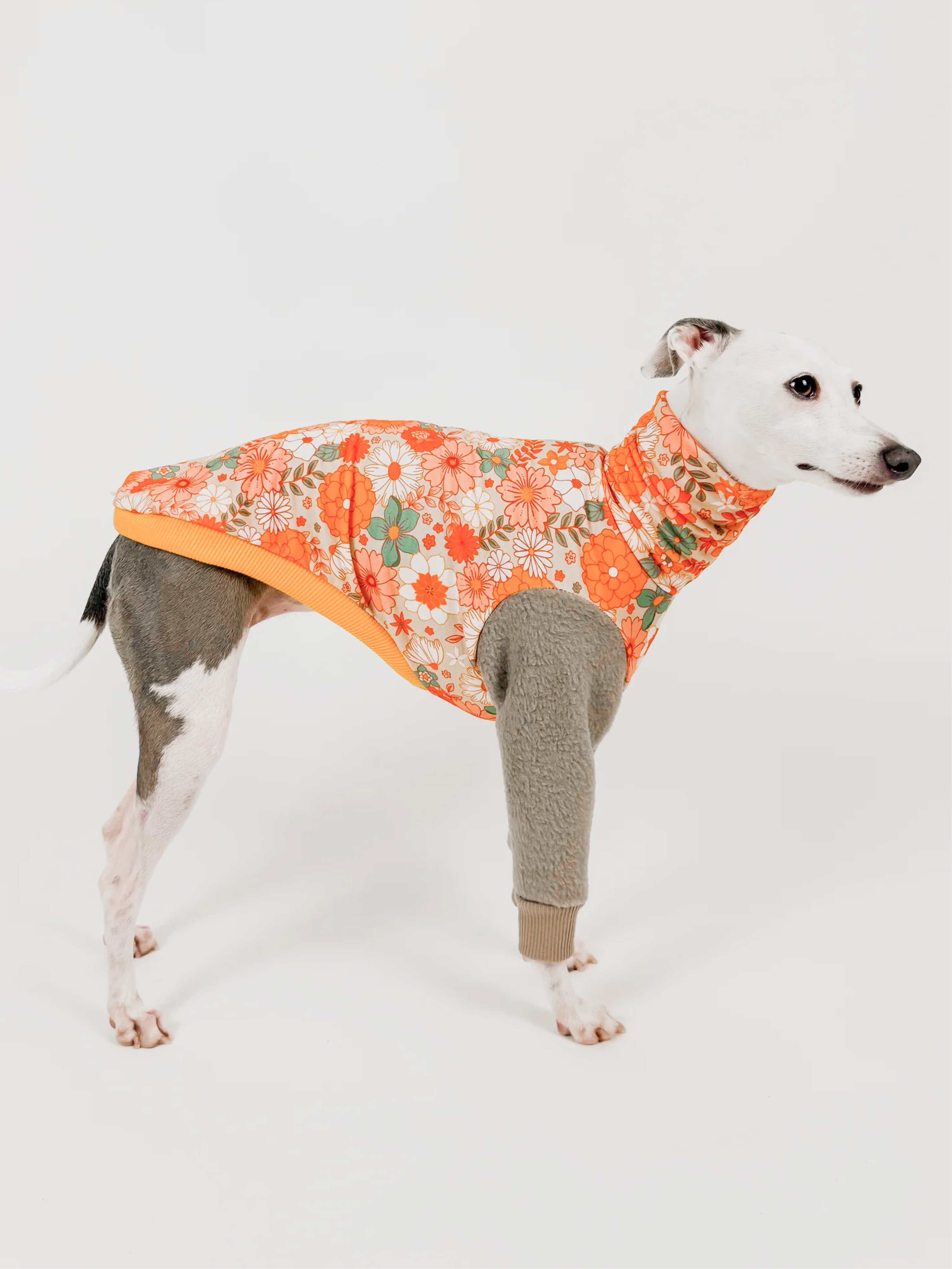 Golden Petals – Half Suit