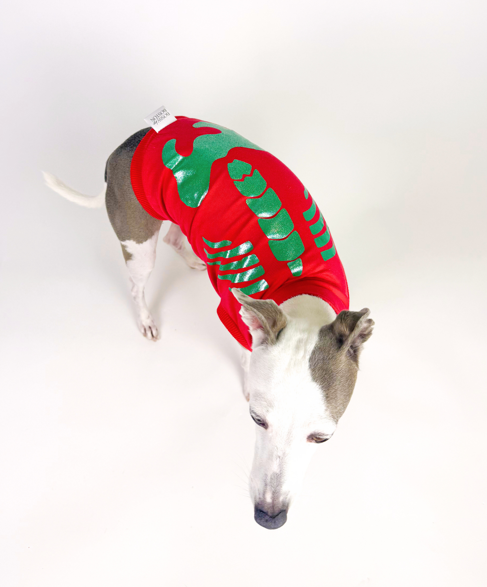 Howliday Skeleton  – Sleeveless Crop