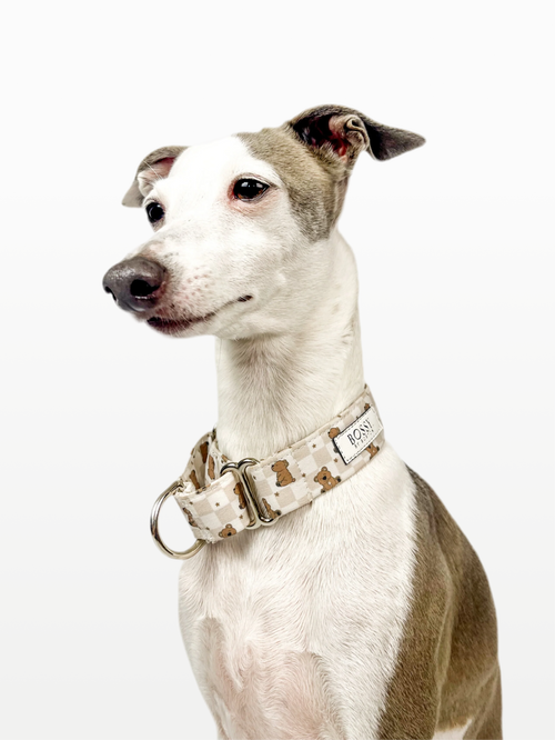 Hugs n Teddies – Martingale Dog Collar