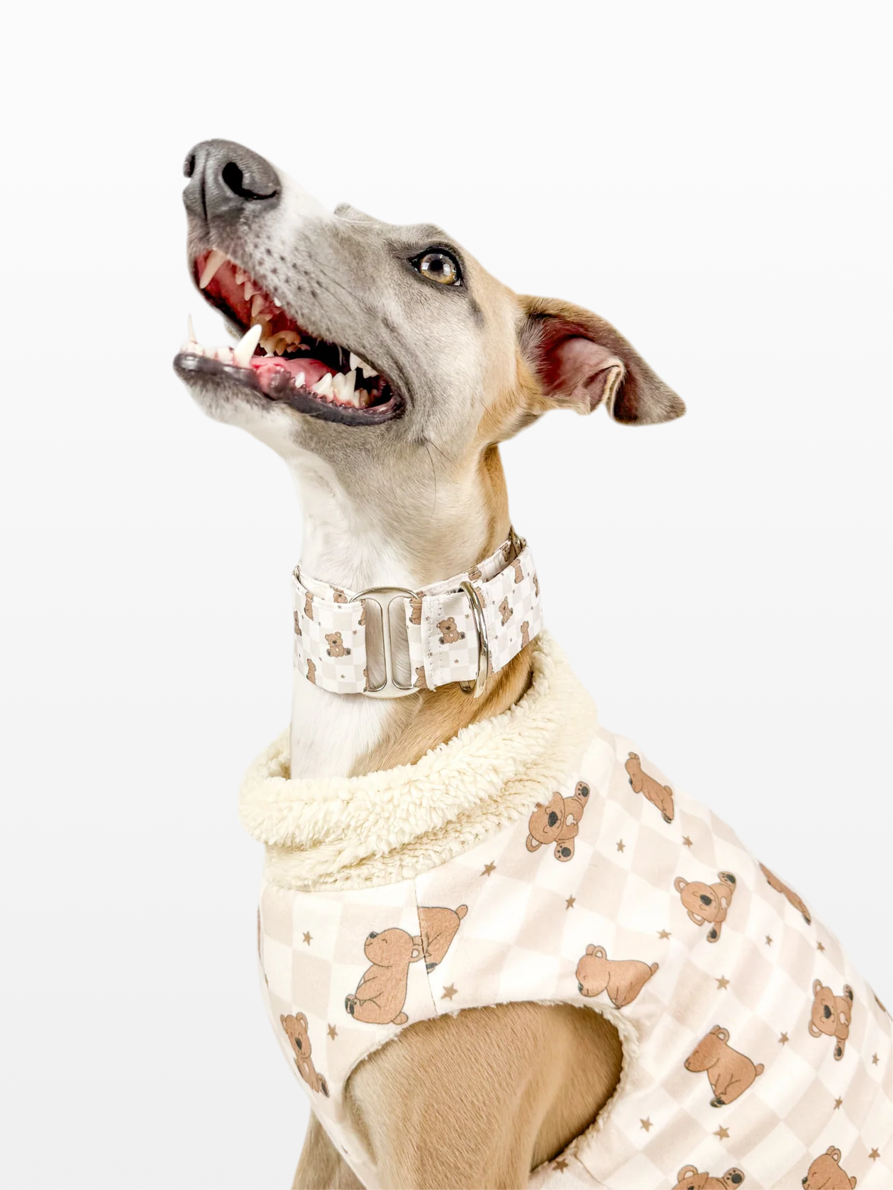 Hugs n Teddies – Zipper Sweater