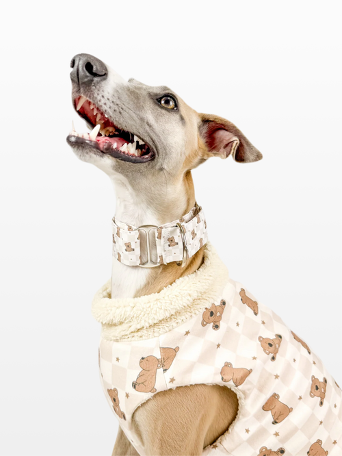 Hugs n Teddies – Martingale Dog Collar