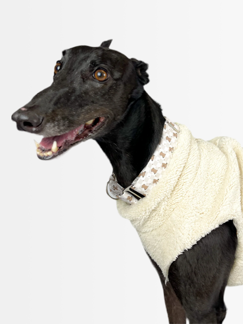 Hugs n Teddies – Zipper Sweater