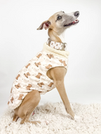 Hugs n Teddies – Zipper Sweater