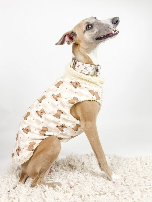 Hugs n Teddies – Zipper Sweater