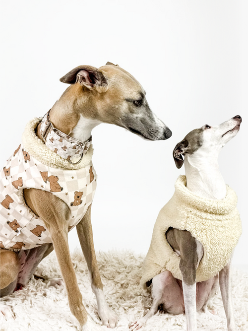 Hugs n Teddies – Zipper Sweater