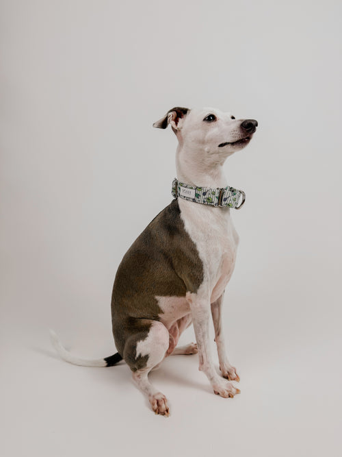 Ball is Life - Martingale Dog Collar