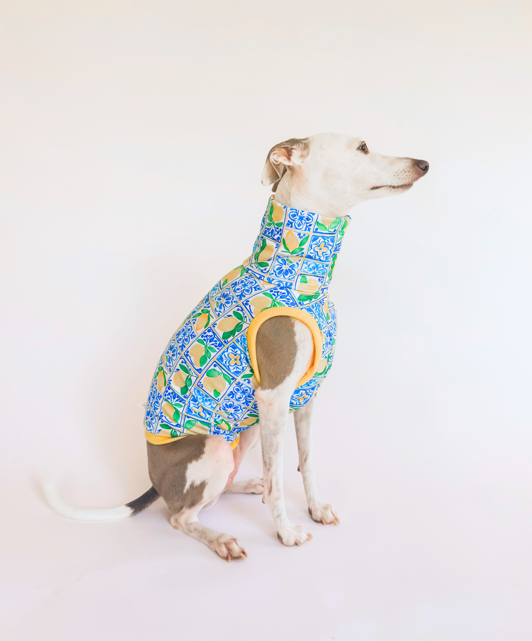 Limoncello Lounge – Sleeveless Crop