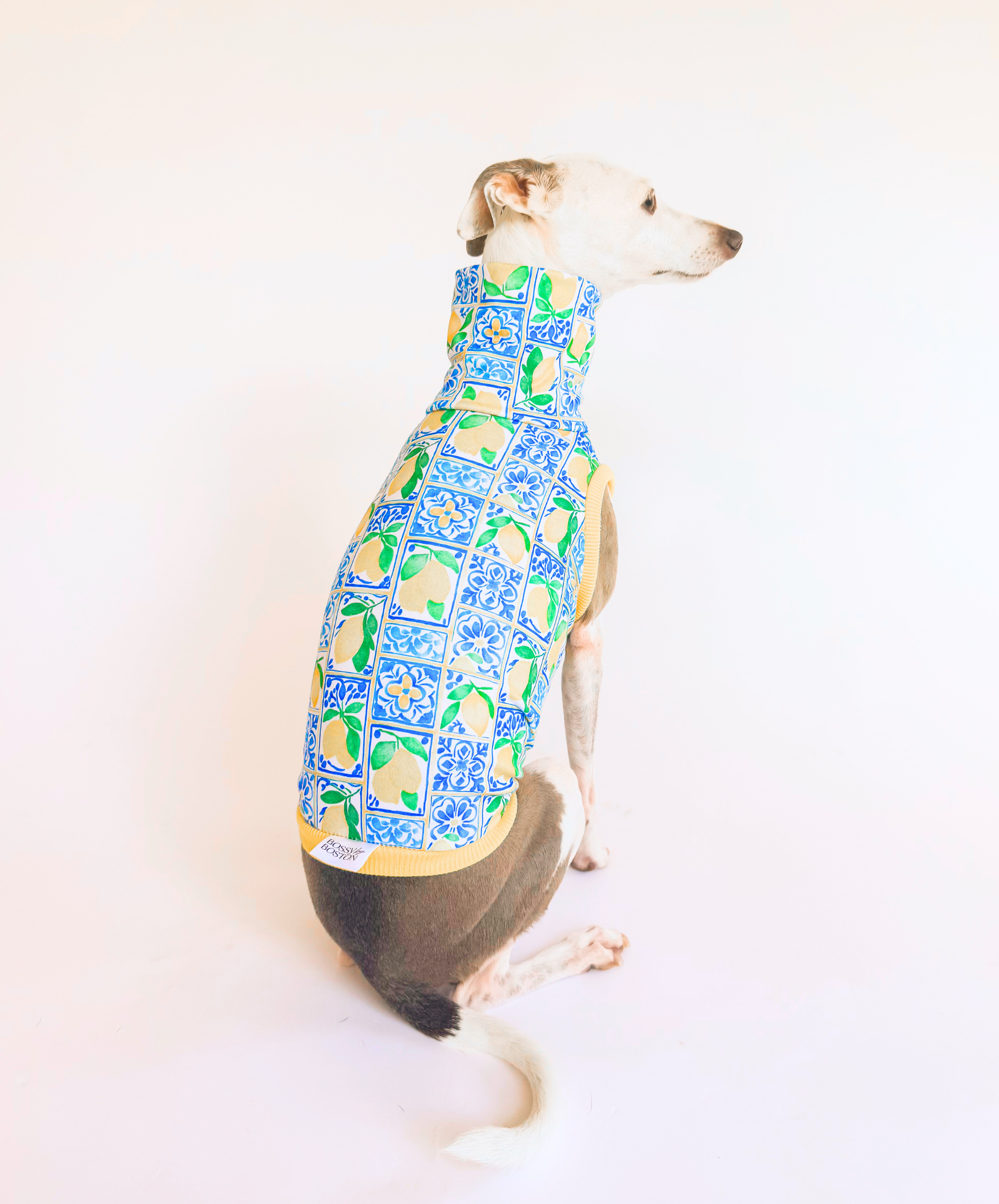 Limoncello Lounge – Sleeveless Crop