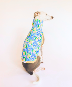 Limoncello Lounge – Sleeveless Crop