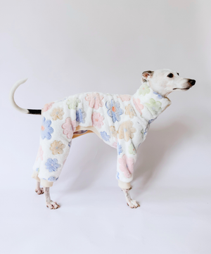 Maison Bloom - Full Suit