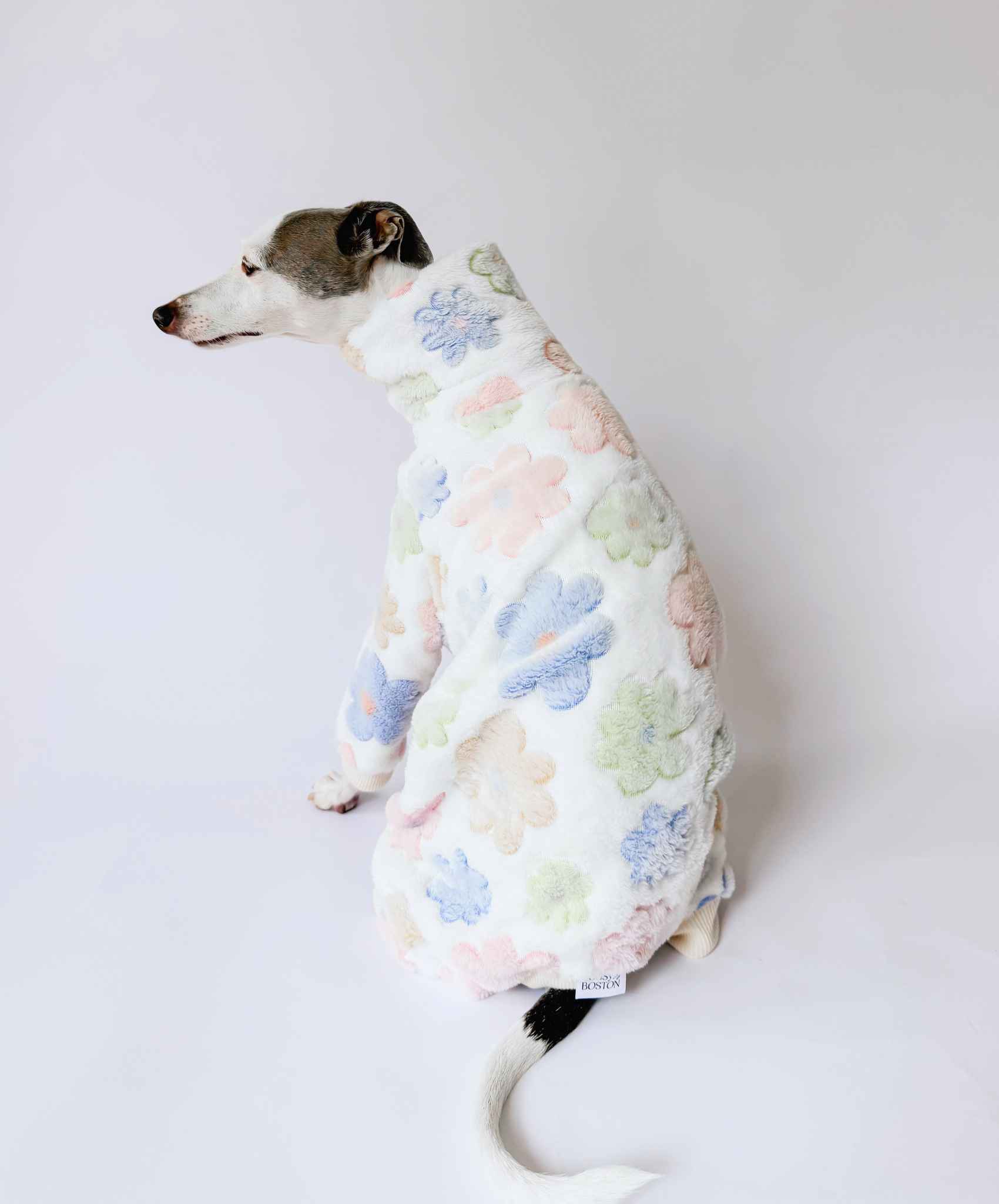 Maison Bloom - Full Suit